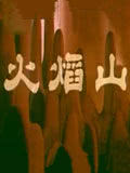 养狗这件事